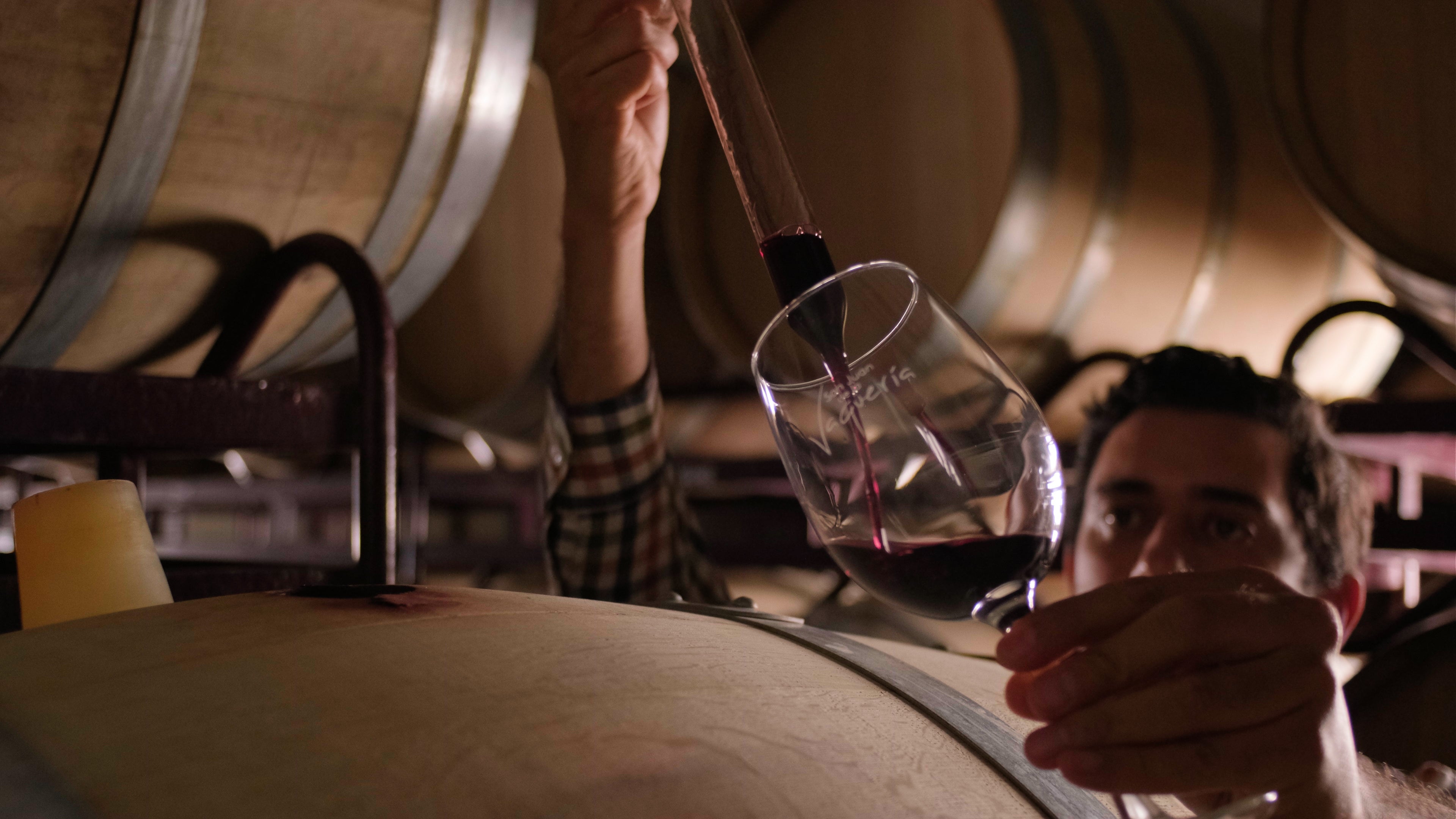 Nuestros vinos